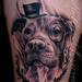 Tattoos - Fancy Pet Portrait 